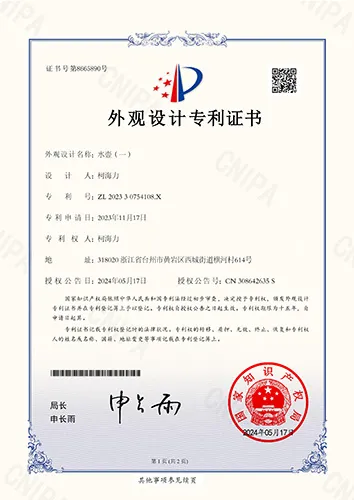 Внешний вид патент Ⅲ Внешний вид патент Ⅲ